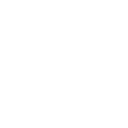 Seattle Psy Ops